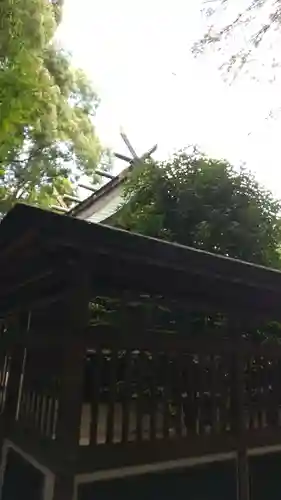 春日部八幡神社の本殿