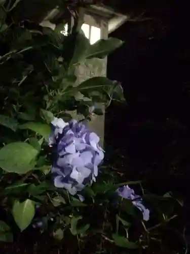 楽法寺（雨引観音）の自然