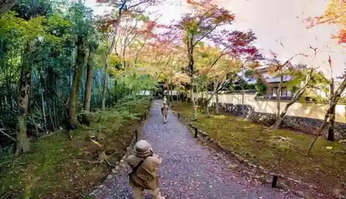 地蔵院の自然