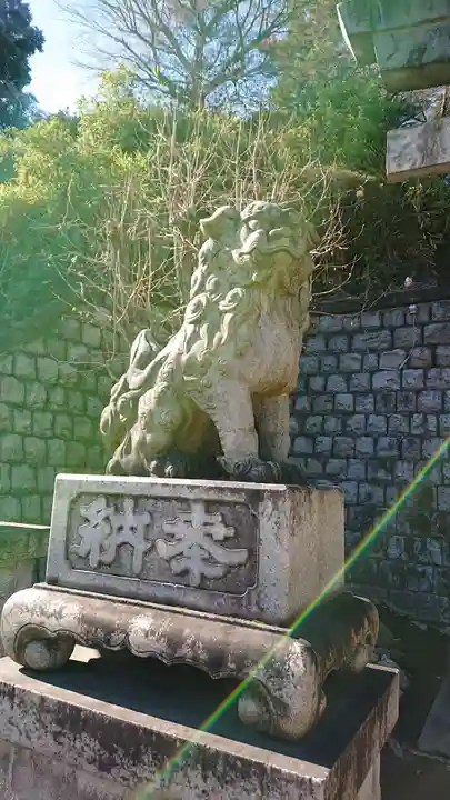 品川神社の狛犬