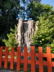 鶴岡八幡宮の自然