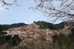 金峯山寺の自然