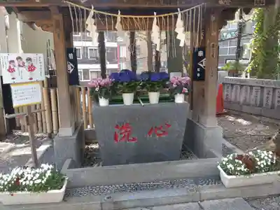 高円寺氷川神社の手水舎