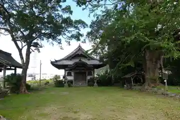 國分寺(国分寺)の本殿・本堂