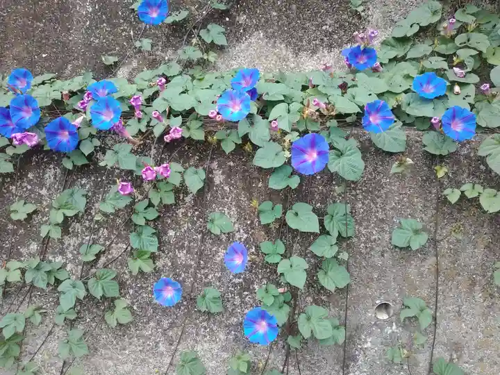 宝厳寺(愛媛県)