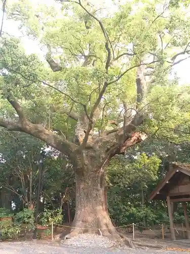 月夜見宮（豊受大神宮別宮）(三重県)