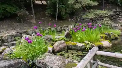 長谷寺(奈良県)