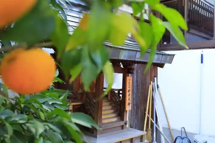 御霊神社(奈良県)