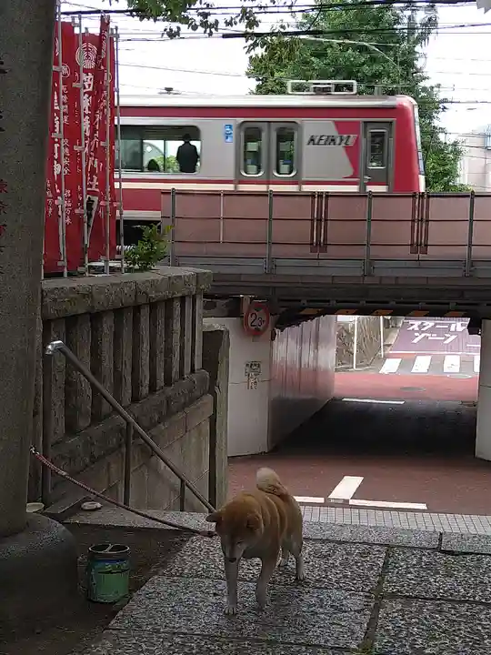 笠䅣稲荷神社の動物
