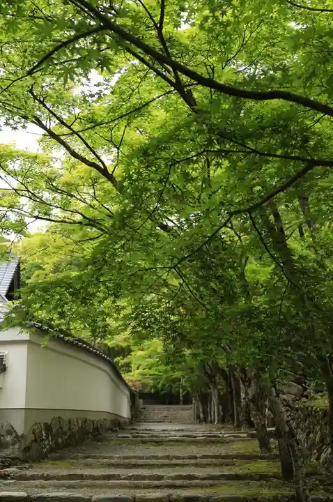 神峯山寺(大阪府)