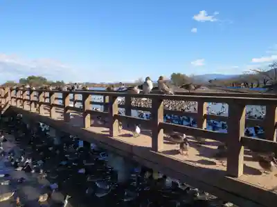 水原八幡宮の周辺