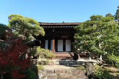 仁和寺(京都府)