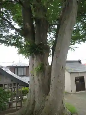 鮫八幡宮(青森県)