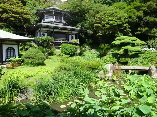 光明寺の庭園