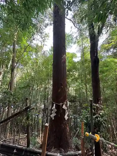 高尾山麓氷川神社(東京都)