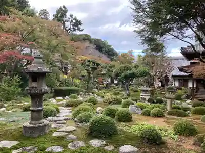 金剛寺(大阪府)