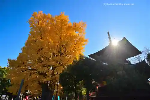 鑁阿寺(栃木県)