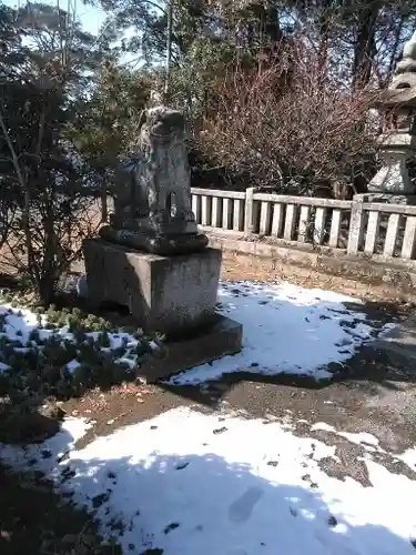 中津神社の狛犬