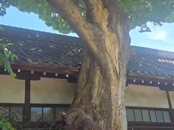 生根神社(大阪府)