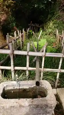 八幡宮の手水舎