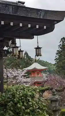 正法寺(京都府)