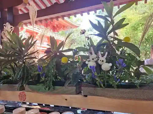 武蔵一宮氷川神社(埼玉県)
