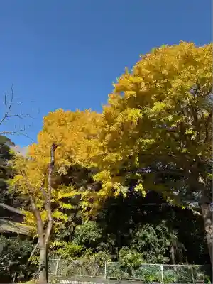 高徳院(神奈川県)