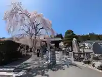 宝積山光前寺(長野県)
