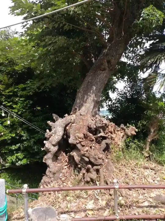 御霊神社(川名御霊神社)(神奈川県)