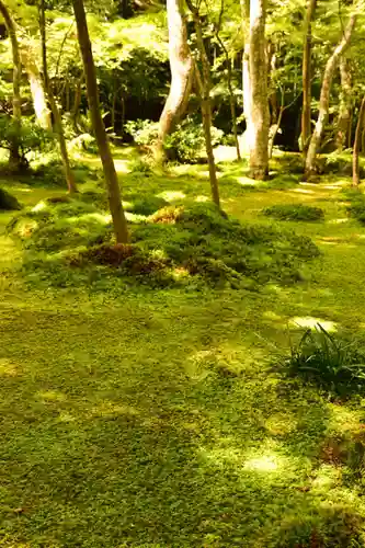 祇王寺(京都府)