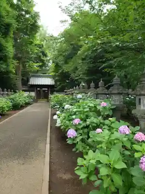 妙法寺のその他建物