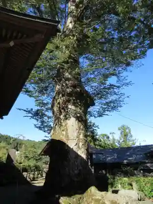 諏訪神社のその他建物