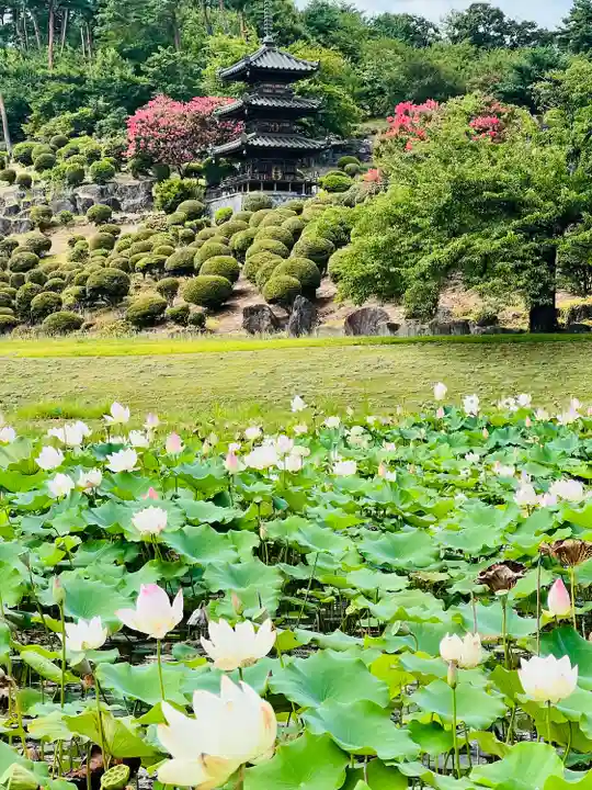 法國寺会津別院 会津慈母大観音(福島県)