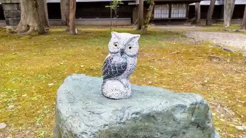 上川神社の狛犬