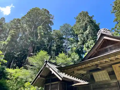 大宮温泉神社(栃木県)