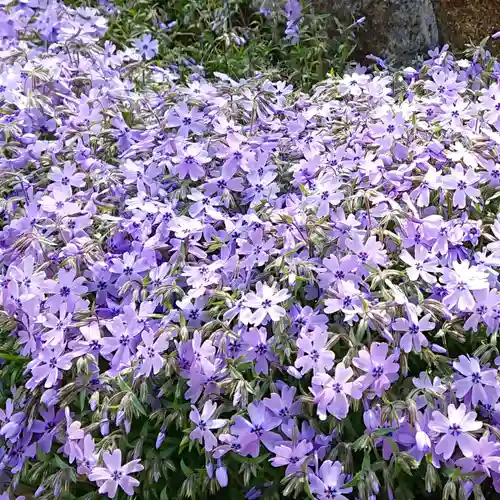 寿量山　速成寺の庭園