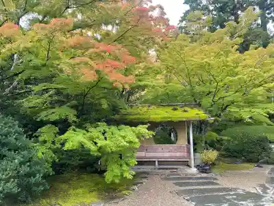 円通院の{uncategorized: "未分類", other: "その他", undefined: "問題あり", building: "その他建物", grave: "お墓", sacred_gate: "鳥居", guardian: "狛犬", statue: "像", buddha: "仏像", history: "歴史", nature: "自然", garden: "庭園", animal: "動物", pagoda: "塔", temizu: "手水舎", mountain_gate: "山門・神門", sanctuary: "本殿・本堂", subordinate: "末社・摂社", art: "芸術", scenery: "景色", jizo: "地蔵", ema: "絵馬", goshuin: "御朱印", omikuji: "おみくじ", items: "授与品その他", amulet: "お守り", goshuincho: "御朱印帳", eats: "食事", festival: "お祭り", votive_dance: "神楽", shichigosan: "七五三参", wedding: "結婚式", experience: "体験その他", initially: "初詣", around: "周辺", anti_infection: "感染症対策"}