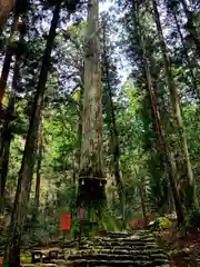 鳳来寺の自然