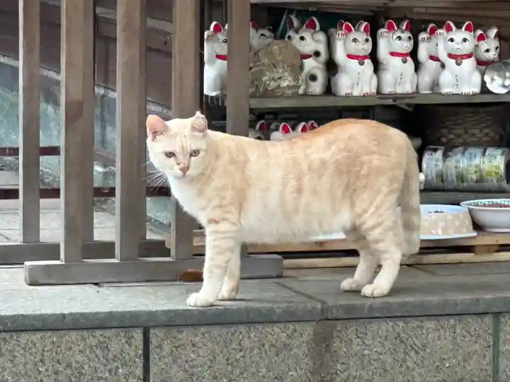 王子神社の動物