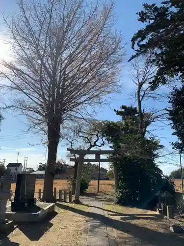 面足神社(千葉県)