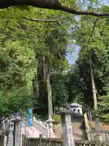 白山神社の自然(2020年08月24日(月) 17時55分15秒投稿)