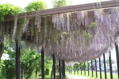 松尾神社(京都府)