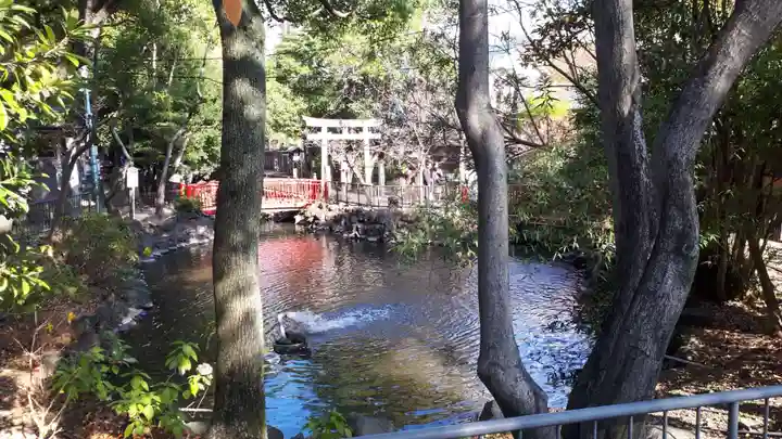 富岡八幡宮の庭園