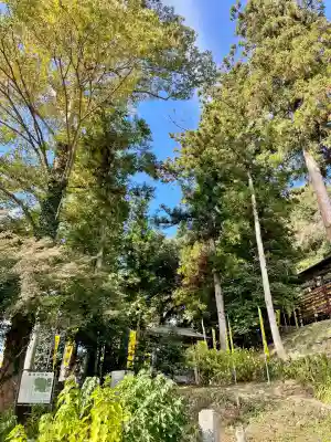 聖神社(埼玉県)