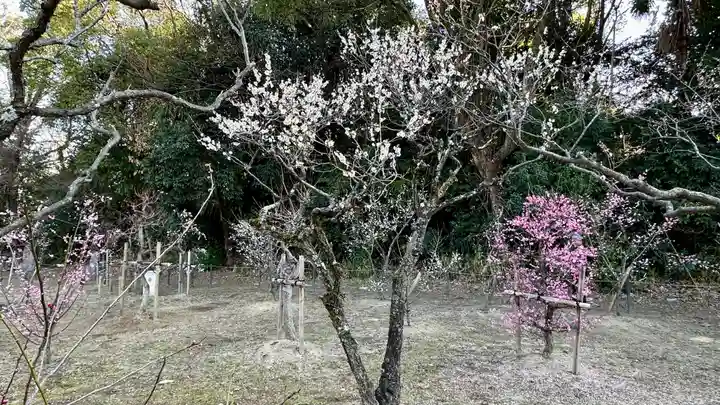 意賀美神社(大阪府)