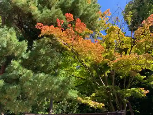 手長神社の自然