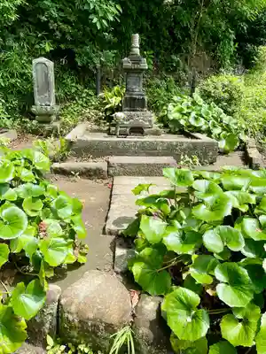 安養院　(田代寺）(神奈川県)