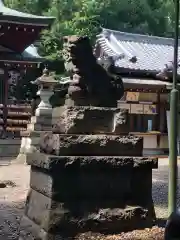 南沢氷川神社の狛犬