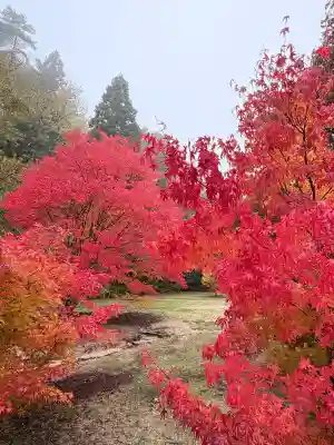 光信寺(広島県)