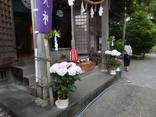 六條八幡宮(高知県)
